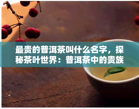 最贵的普洱茶叫什么名字，探秘茶叶世界：普洱茶中的贵族——最贵的普洱茶是哪一款？