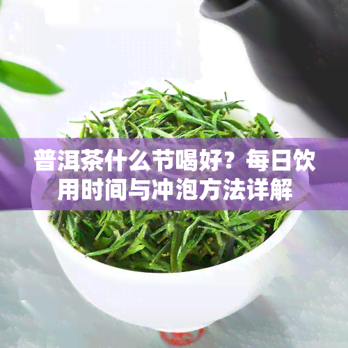 普洱茶什么节喝好？每日饮用时间与冲泡方法详解