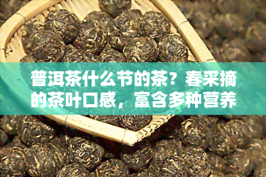 普洱茶什么节的茶？春采摘的茶叶口感，富含多种营养物质。