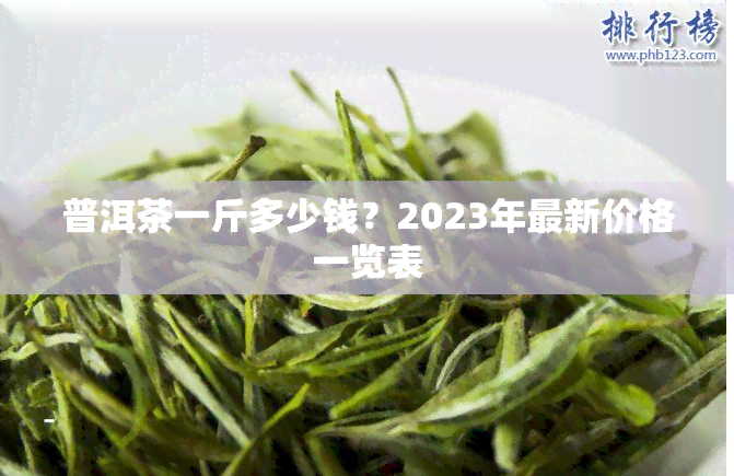 普洱茶一斤多少钱？2023年最新价格一览表