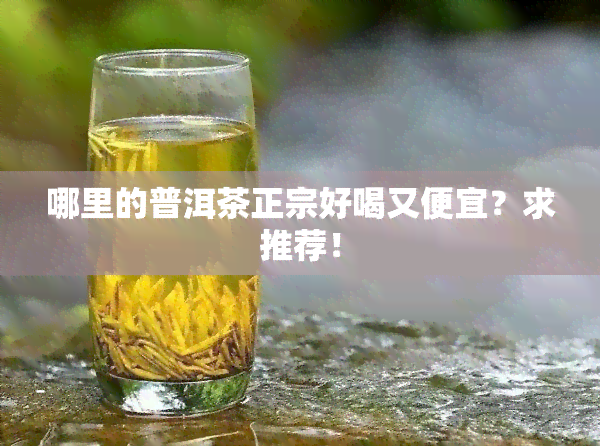 哪里的普洱茶正宗好喝又便宜？求推荐！