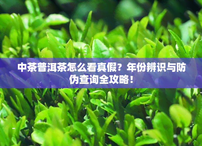 中茶普洱茶怎么看真假？年份辨识与防伪查询全攻略！