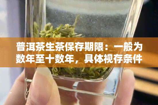 普洱茶生茶保存期限：一般为数年至十数年，具体视存条件而定。