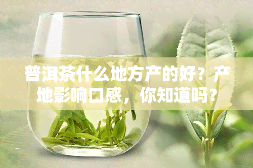 普洱茶什么地方产的好？产地影响口感，你知道吗？