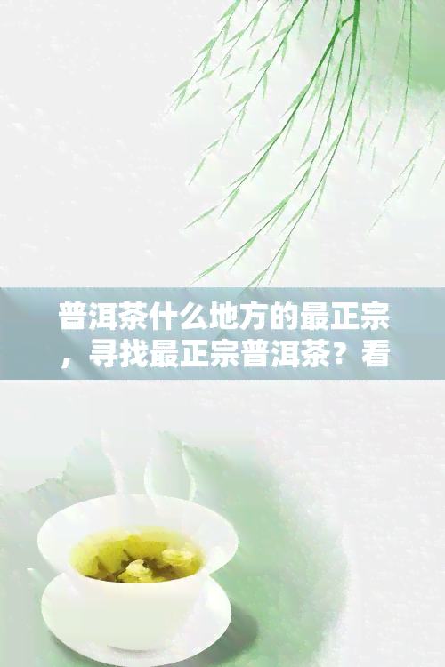 普洱茶什么地方的最正宗，寻找最正宗普洱茶？看这里！