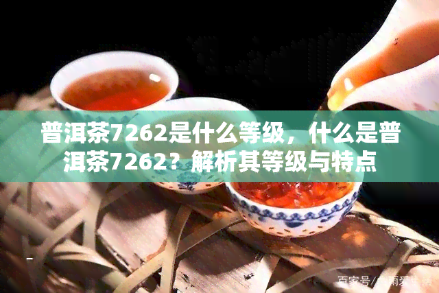 普洱茶7262是什么等级，什么是普洱茶7262？解析其等级与特点