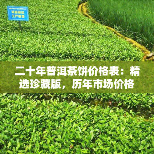 二十年普洱茶饼价格表：精选珍藏版，历年市场价格走势分析