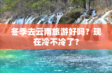 冬季去云南旅游好吗？现在冷不冷了？