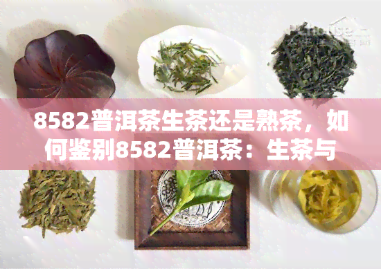 8582普洱茶生茶还是熟茶，如何鉴别8582普洱茶：生茶与熟茶的区分方法