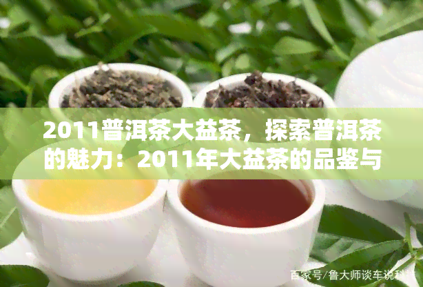 2011普洱茶大益茶，探索普洱茶的魅力：2011年大益茶的品鉴与评价