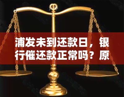 浦发未到还款日，银行催还款正常吗？原因解析与应对策略