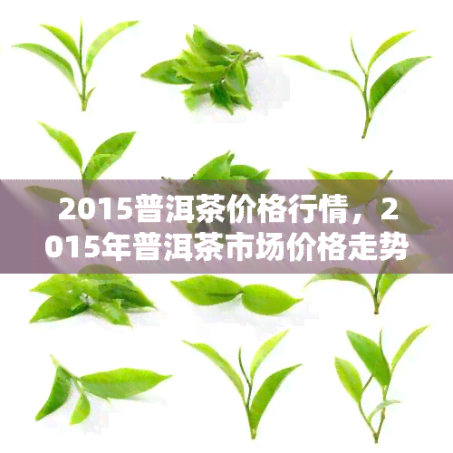 2015普洱茶价格行情，2015年普洱茶市场价格走势分析与预测