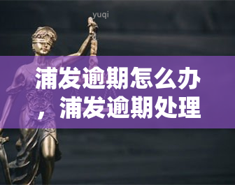 浦发逾期怎么办，浦发逾期处理攻略：教你如何解决逾期问题