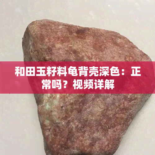 和田玉籽料龟背壳深色：正常吗？视频详解