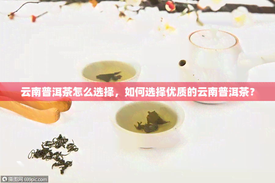 云南普洱茶怎么选择，如何选择优质的云南普洱茶？