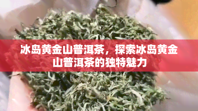 冰岛黄金山普洱茶，探索冰岛黄金山普洱茶的独特魅力