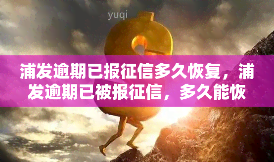 浦发逾期已报多久恢复，浦发逾期已被报，多久能恢复正常记录？