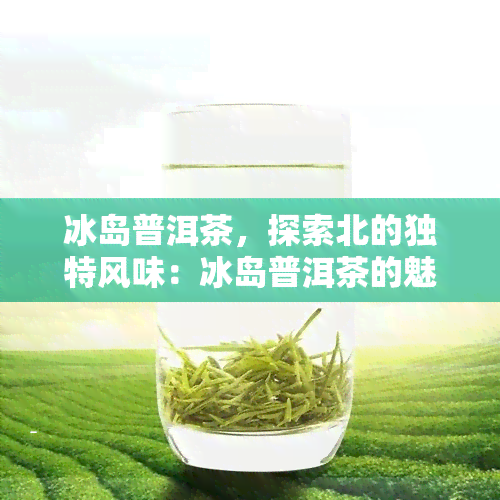 冰岛普洱茶，探索北的独特风味：冰岛普洱茶的魅力与故事