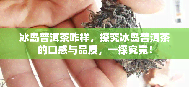 冰岛普洱茶咋样，探究冰岛普洱茶的口感与品质，一探究竟！