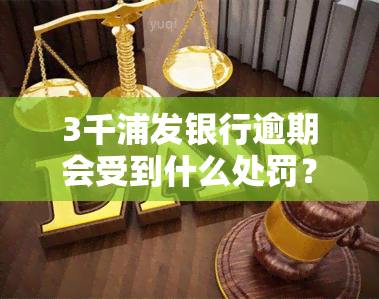 3千浦发银行逾期会受到什么处罚？逾期3个月、1年分别会怎么样？被起诉的可能性大吗？