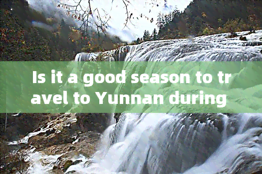 Is it a good season to travel to Yunnan during Qingming Festival?