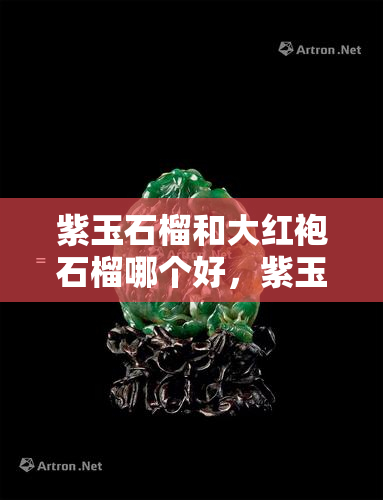 紫玉石榴和大红袍石榴哪个好，紫玉石榴与大红袍石榴：哪个品种更优秀？