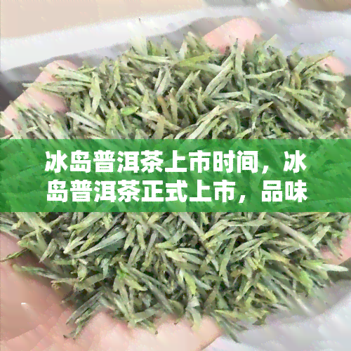 冰岛普洱茶上市时间，冰岛普洱茶正式上市，品味独特韵味的时刻到了！