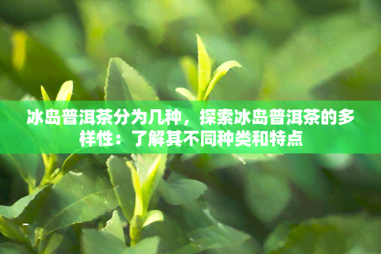 冰岛普洱茶分为几种，探索冰岛普洱茶的多样性：了解其不同种类和特点