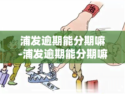 浦发逾期能分期嘛-浦发逾期能分期嘛现在