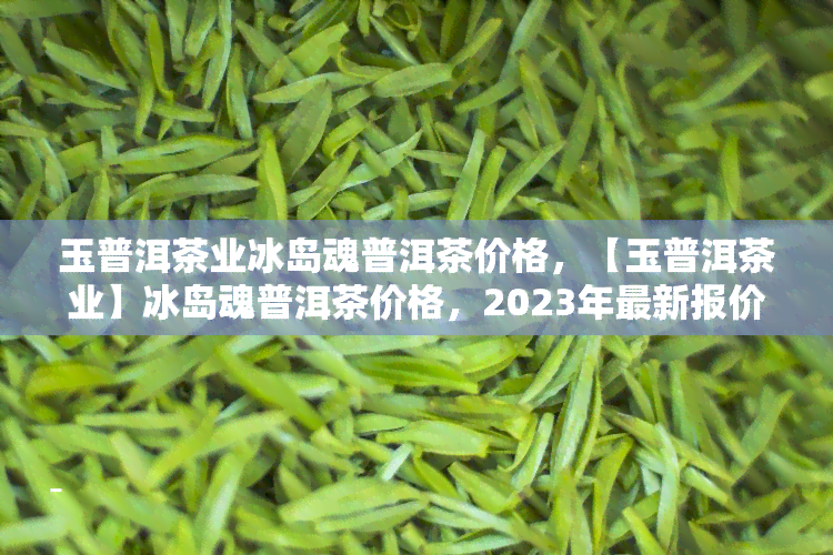 玉普洱茶业冰岛魂普洱茶价格，【玉普洱茶业】冰岛魂普洱茶价格，2023年最新报价