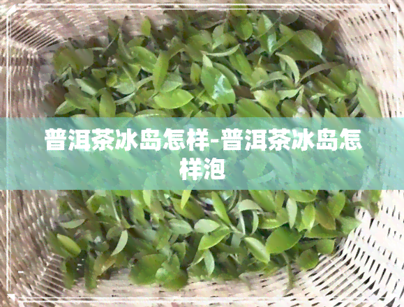 普洱茶冰岛怎样-普洱茶冰岛怎样泡