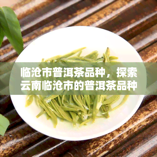 临沧市普洱茶品种，探索云南临沧市的普洱茶品种，品味独特的茶香世界