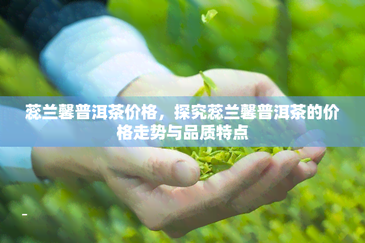 蕊兰馨普洱茶价格，探究蕊兰馨普洱茶的价格走势与品质特点