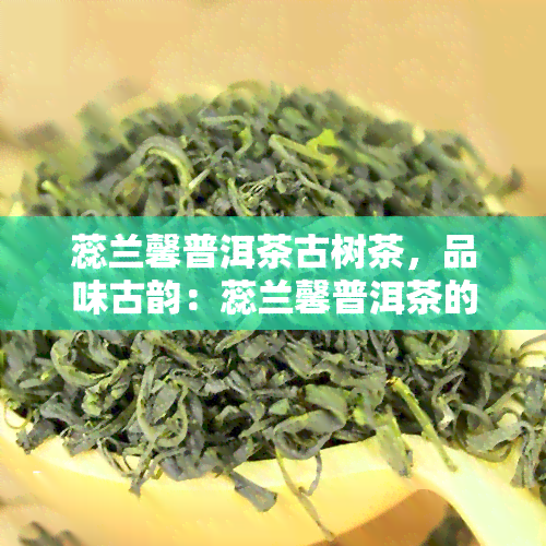 蕊兰馨普洱茶古树茶，品味古韵：蕊兰馨普洱茶的醇厚魅力