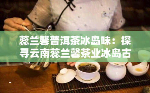 蕊兰馨普洱茶冰岛味：探寻云南蕊兰馨茶业冰岛古树的魅力与价格