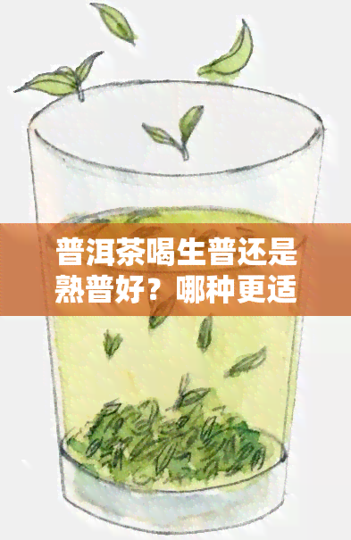 普洱茶喝生普还是熟普好？哪种更适合你？