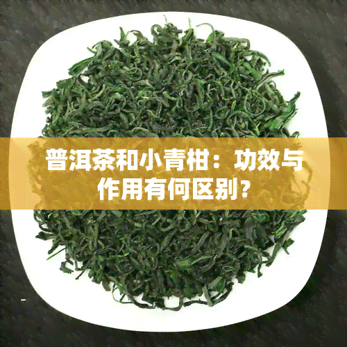 普洱茶和小青柑：功效与作用有何区别？