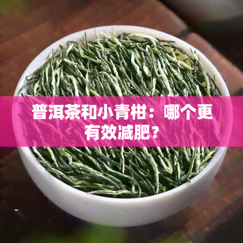 普洱茶和小青柑：哪个更有效减肥？