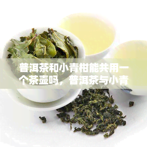 普洱茶和小青柑能共用一个茶壶吗，普洱茶与小青柑能否共用一个茶壶？