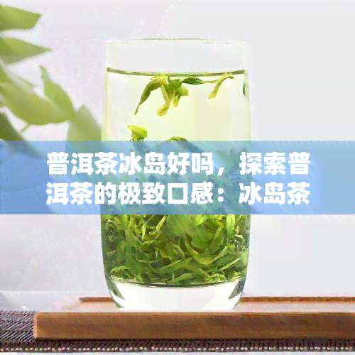 普洱茶冰岛好吗，探索普洱茶的极致口感：冰岛茶如何成为茶叶中的瑰宝？