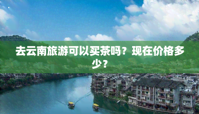 去云南旅游可以买茶吗？现在价格多少？