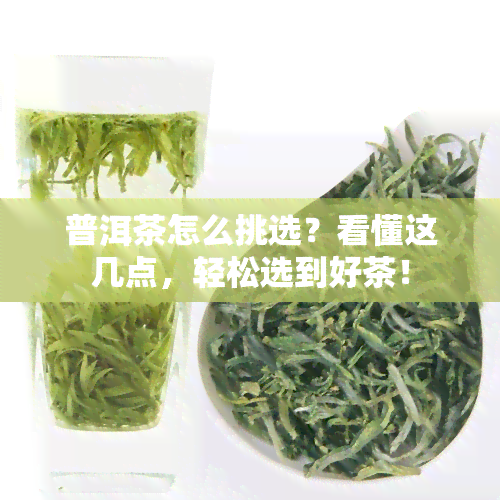 普洱茶怎么挑选？看懂这几点，轻松选到好茶！