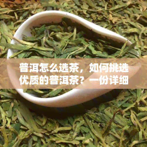 普洱怎么选茶，如何挑选优质的普洱茶？一份详细的选购指南