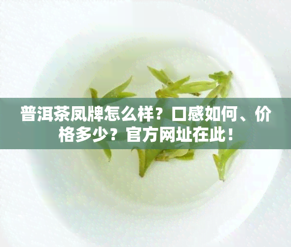 普洱茶凤牌怎么样？口感如何、价格多少？官方网址在此！