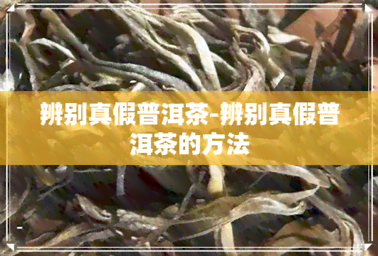 辨别真假普洱茶-辨别真假普洱茶的方法