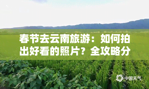 春节去云南旅游：如何拍出好看的照片？全攻略分享！