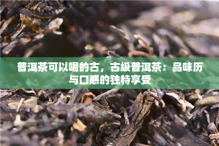 普洱茶可以喝的古，古级普洱茶：品味历与口感的独特享受