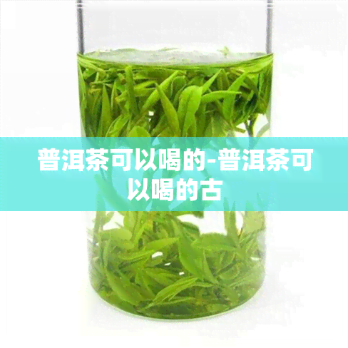 普洱茶可以喝的-普洱茶可以喝的古