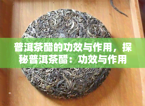 普洱茶醋的功效与作用，探秘普洱茶醋：功效与作用大揭秘