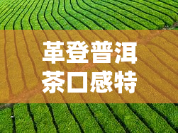 革登普洱茶口感特点，探索革登普洱茶的独特口感特点